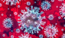 Coronavirus Krankheit 2019 - Coronavirus
